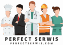 perfectserwis.com